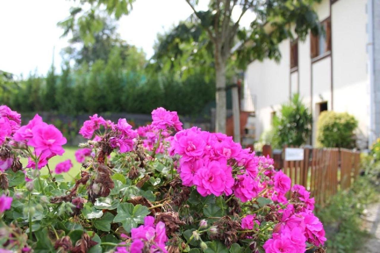 Casa Rural Zelaieta Berribi Itziar Luaran gambar
